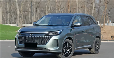 Carros elétricos DFSK E5 E5